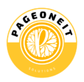 pageoneit